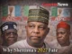 Why Shettima’s 2027 Fate Is Dividing the APC Earlier Than Expected — Explained