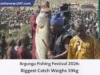 Argungu Fishing Festival 2026: Biggest Catch Weighs 59kg