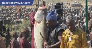 Argungu Fishing Festival 2026: Biggest Catch Weighs 59kg