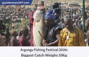 Argungu Fishing Festival 2026: Biggest Catch Weighs 59kg