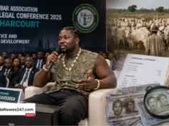 Why Did VDM Link Roaming Cattle to Money Laundering? His NBA Conference Claims Explained